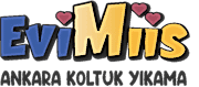 EviMiis Ankara Koltuk Yıkama