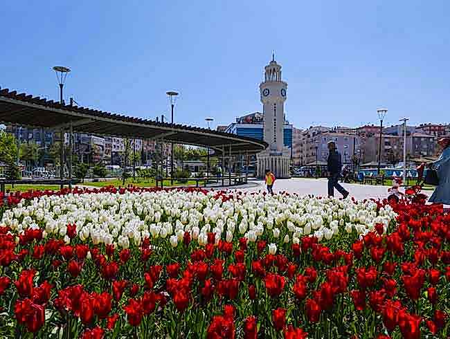 Sumqayıt Koltuk Yıkama